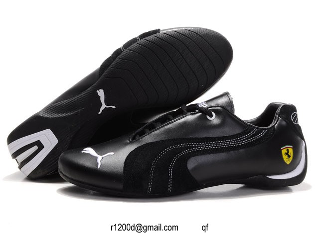 puma marche centrale